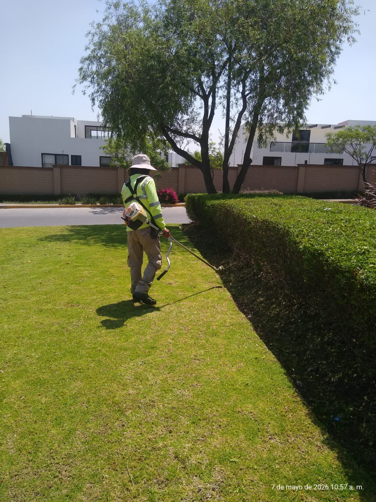 Jardinería